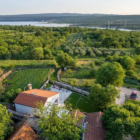- Thorak Villa *